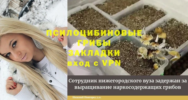 СК Арсеньев