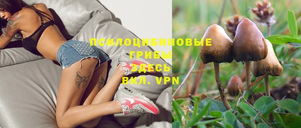 СК Арсеньев
